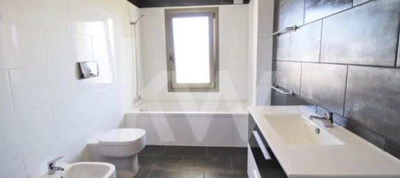 7 bedrooms House in Silves, Portugal No. 173213 44