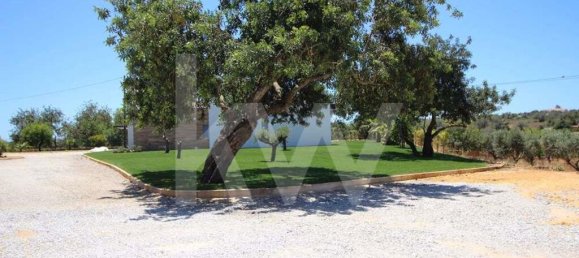 7 bedrooms House in Silves, Portugal No. 173213 8