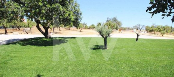 7 bedrooms House in Silves, Portugal No. 173213 13