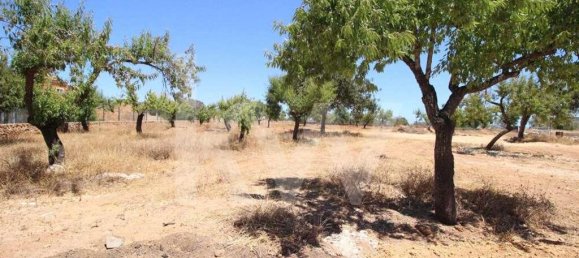 7 bedrooms House in Silves, Portugal No. 173213 17