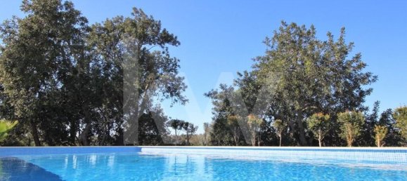 7 bedrooms House in Silves, Portugal No. 173213 3