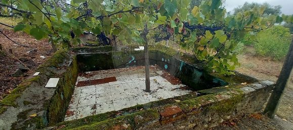 2 Schlafzimmer Haus in Abrantes, Portugal, Nr. 30002 10