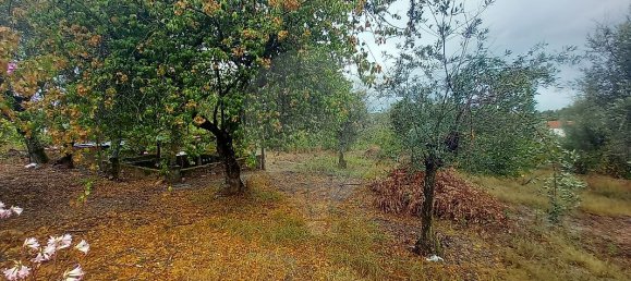 2 Schlafzimmer Haus in Abrantes, Portugal, Nr. 30002 8