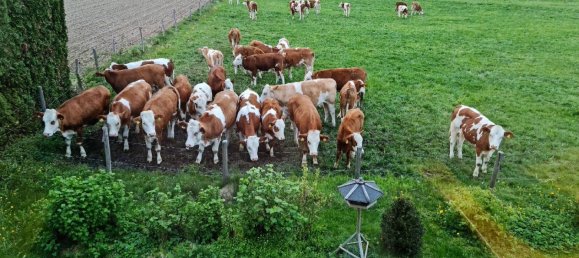 Moradia em banda T4 em Rosenheim, Germany N.º 218129 22