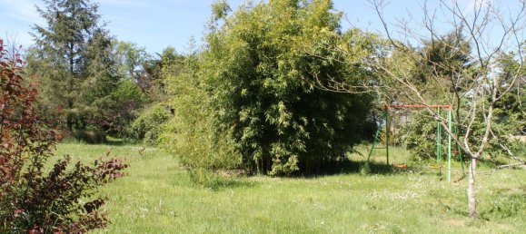 4 bedrooms House in Neons-sur-Creuse, France No. 53054 13