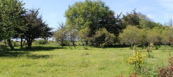 4 bedrooms House in Neons-sur-Creuse, France No. 53054 3