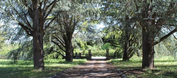 4 bedrooms House in Neons-sur-Creuse, France No. 53054 16