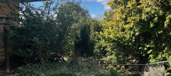 2 bedrooms Bungalow in Saarland, Germany No. 29997 8