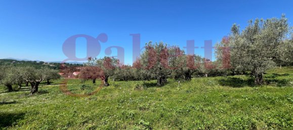 2 bedrooms House in Faicchio, Italy No. 325833 25