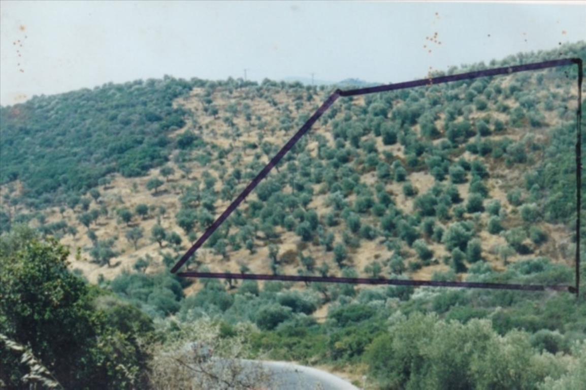 19160m² Hotel in Chalkidiki, Greece No. 6329