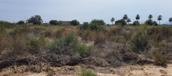  قطعة أرض في Alicante, Spain رقم 152798 3