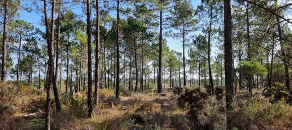 6 غرف نوم قطعة أرض في Alcacer do Sal, Portugal رقم 278293 4