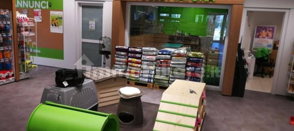 445m² Commercial property in Nonantola, Italy No. 317051 13