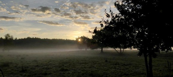 Дом с 4 спальнями в Leer, Германия № 296928 14