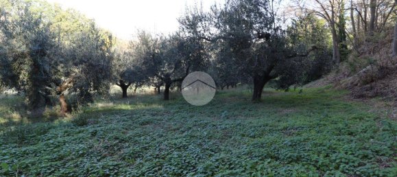 Terreno en Silvi, Italy 1900 m² No. 67110 11