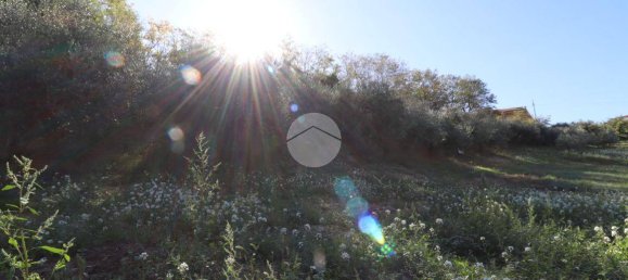 Terreno en Silvi, Italy 1900 m² No. 67110 8