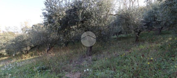 Terreno en Silvi, Italy 1900 m² No. 67110 7