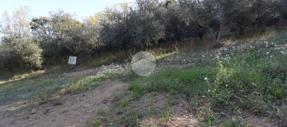 Terreno en Silvi, Italy 1900 m² No. 67110 10