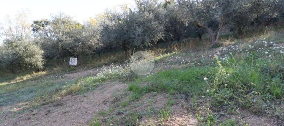 Terreno en Silvi, Italy 1900 m² No. 67110 9