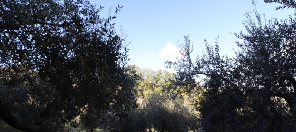 Terreno en Silvi, Italy 1900 m² No. 67110 12