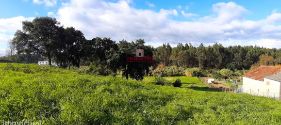 7792m² Land in Rio Maior, Portugal No. 73825 2