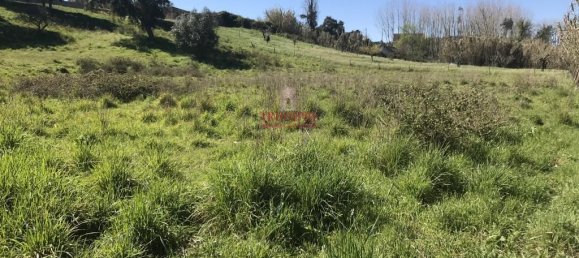 7792m² Land in Rio Maior, Portugal No. 73825 14