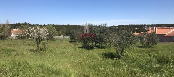 7792m² Land in Rio Maior, Portugal No. 73825 16