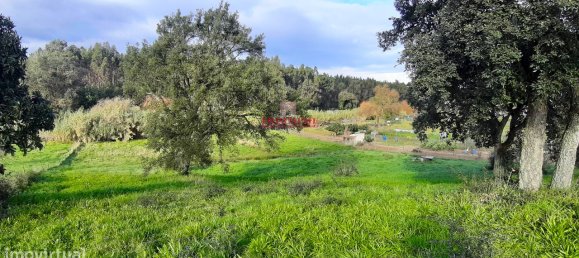 7792m² Land in Rio Maior, Portugal No. 73825 11