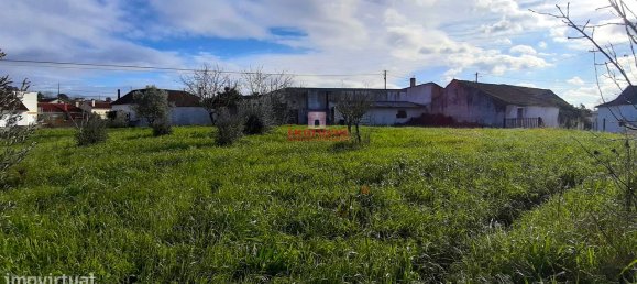 7792m² Land in Rio Maior, Portugal No. 73825 6