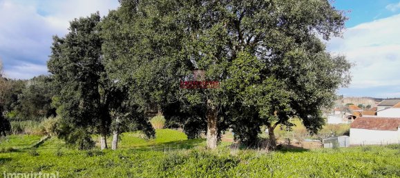 7792m² Land in Rio Maior, Portugal No. 73825 12