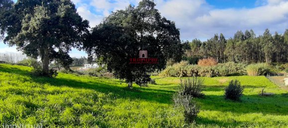 7792m² Land in Rio Maior, Portugal No. 73825 8