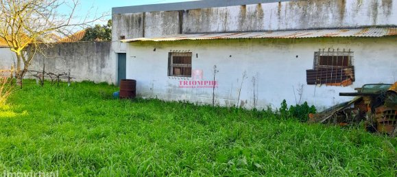 7792m² Land in Rio Maior, Portugal No. 73825 3