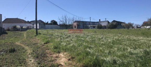 7792m² Land in Rio Maior, Portugal No. 73825 15