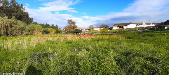 7792m² Land in Rio Maior, Portugal No. 73825 10