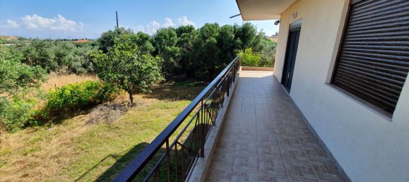 2 chambres Propriété commerciale à Chalkidiki, Greece No. 4165 6