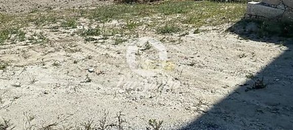 مستودع في Vila do Conde, Portugal 2350متر مربع رقم 38487 7