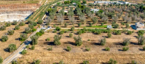 Terreno T3 em Casarano, Italy N.º 294692 4