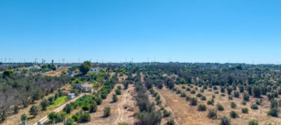 Terreno T3 em Casarano, Italy N.º 294692 7