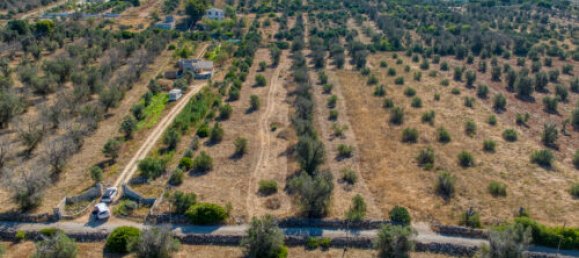 Terreno T3 em Casarano, Italy N.º 294692 9