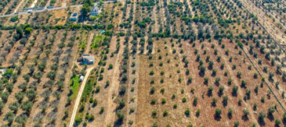 Terreno T3 em Casarano, Italy N.º 294692 5