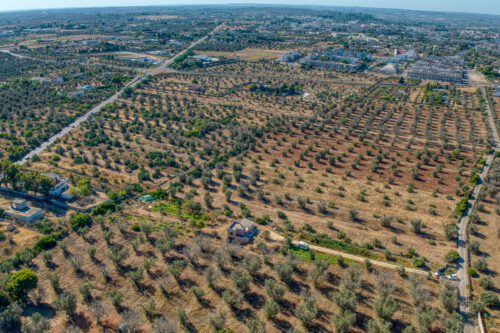 Terreno T3 em Casarano, Italy N.º 294692