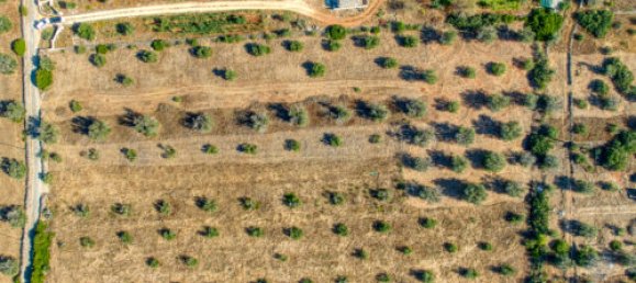 Terreno T3 em Casarano, Italy N.º 294692 3