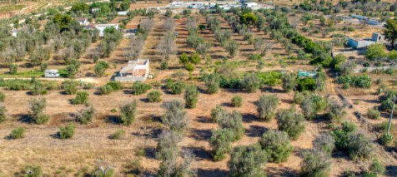 Terreno T3 em Casarano, Italy N.º 294692 8