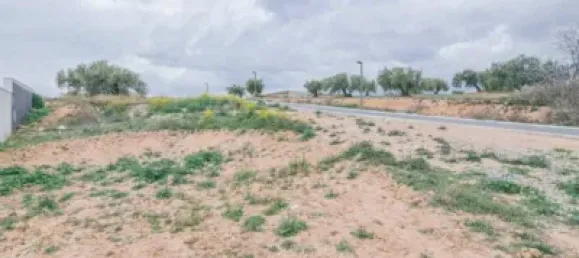 262m² Land in Peligros, Spain No. 138898 8