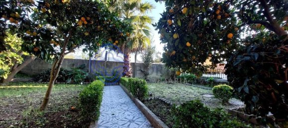 5 bedrooms House in Santo Tirso, Portugal No. 105157 31