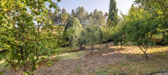 4 Schlafzimmer Haus in Revelhe, Portugal, Nr. 21126 24