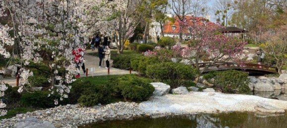 3 rooms Apartment in Dobling, Austria No. 240500 18