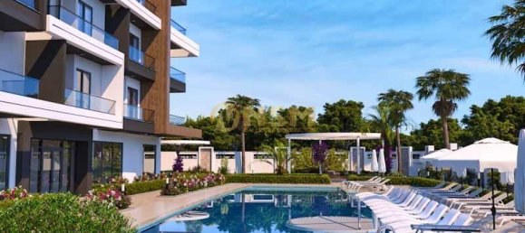 Apartment 1+1 in Alanya, Turkey No. 31138 5