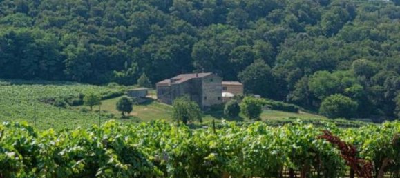 14 rooms Villa in Illasi, Italy No. 38974 32