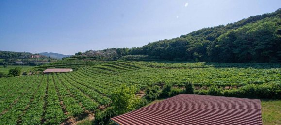 14 rooms Villa in Illasi, Italy No. 38974 13